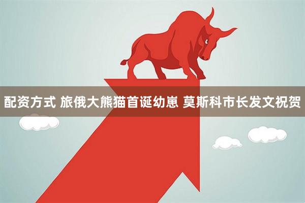 配资方式 旅俄大熊猫首诞幼崽 莫斯科市长发文祝贺