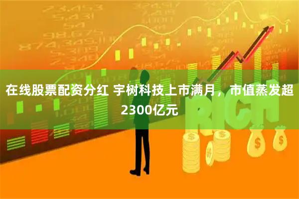 在线股票配资分红 宇树科技上市满月，市值蒸发超2300亿元